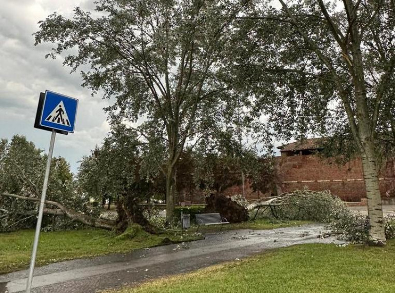 I danni provocati dal maltempo in Monferrato [FOTOGALLERY]